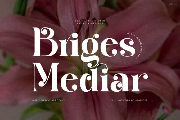 Briges Mediar Font