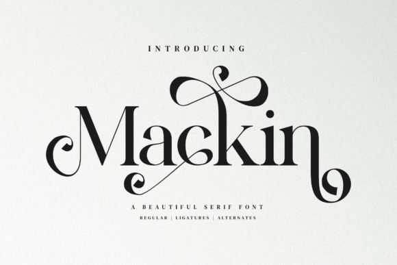 Mackin Font